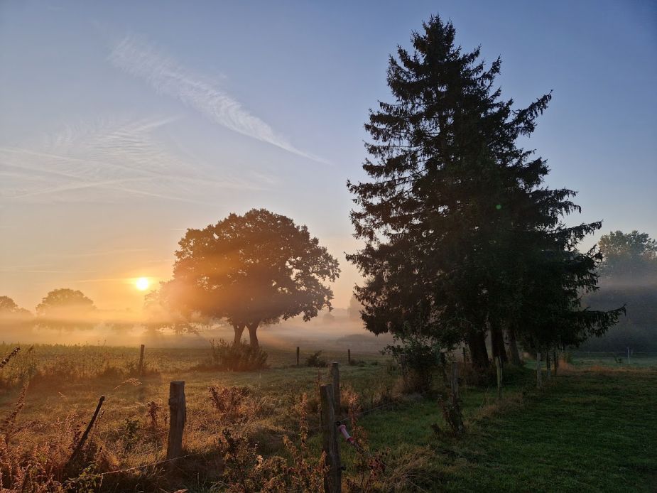 Ferienwohnungen, Übernachtungsangebote & Familienzimmer I Eutin, Plön & Sierksdorf